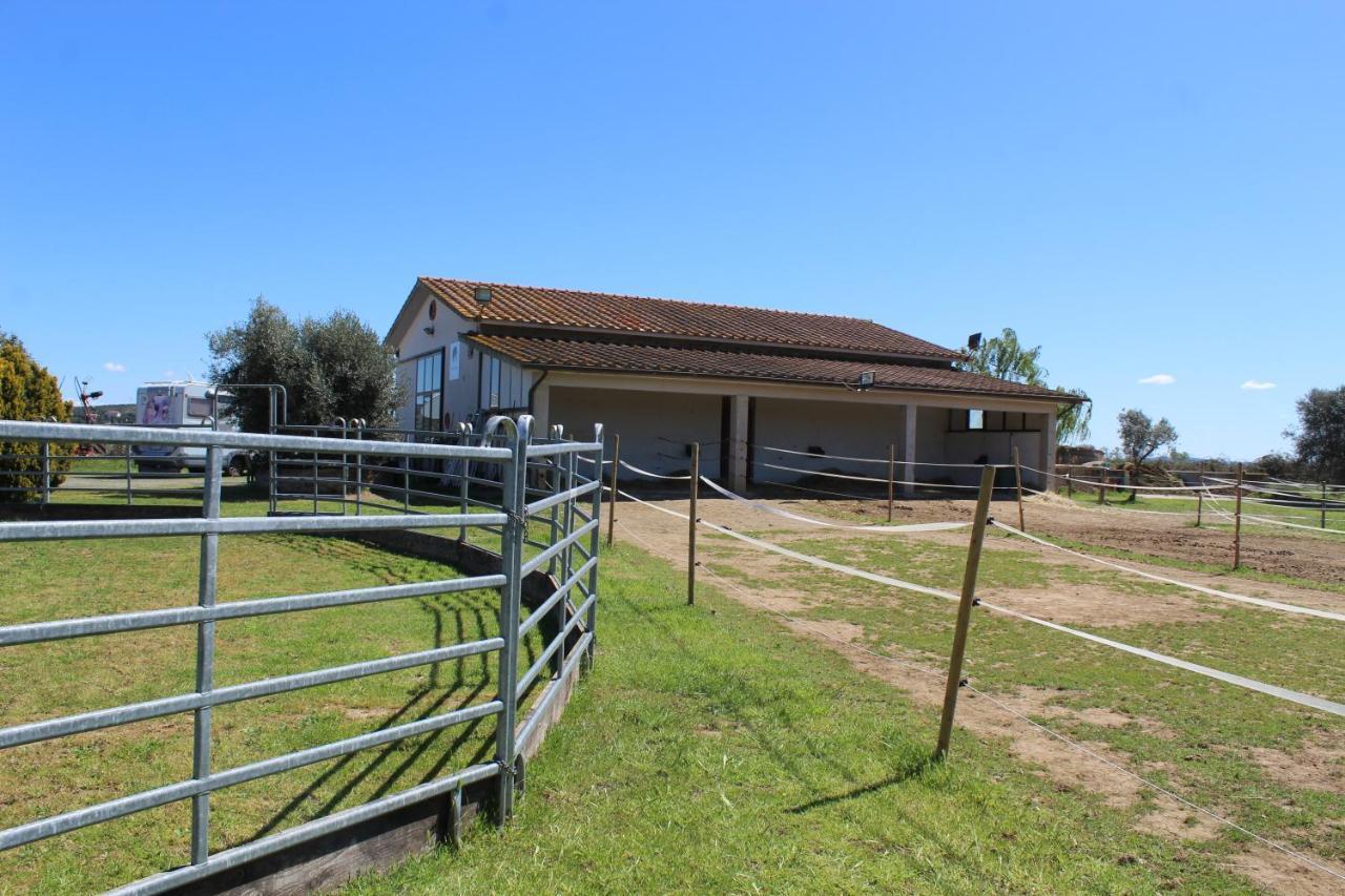 Апартаменти Agriturismo Le Cioccaie Кастільйоне-делла-Пеская Екстер'єр фото